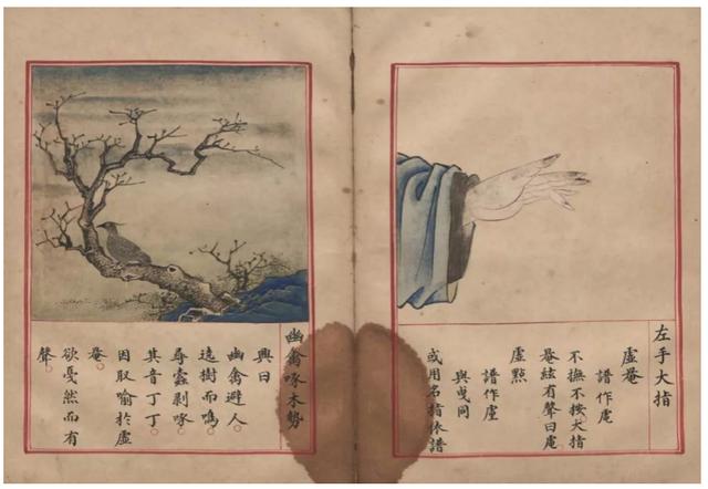 卓字五行属什么？卓字五行属什么及含义！