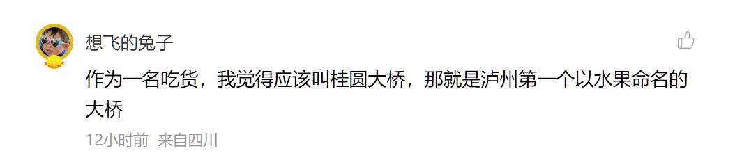 创意分加满！这届网友给泸州长江二桥取的名字太有才了