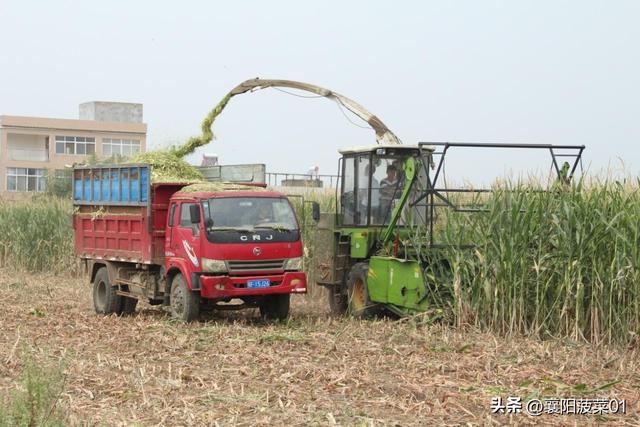 建材公司起名大全免费？建材公司起名大全免费三个字！
