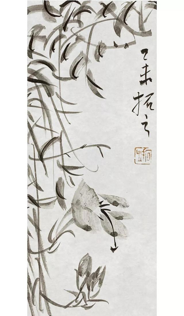 拓字的五行属性是什么（拓属于五行属什么）
