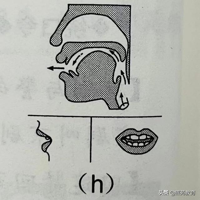 拼音j的正确书写格式图片（拼音j的正确书写格式视频）