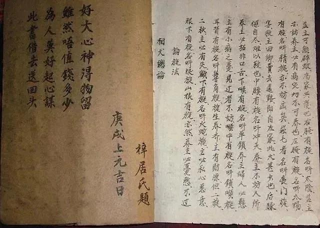 相字五行属什么生肖（相字五行属什么意思）