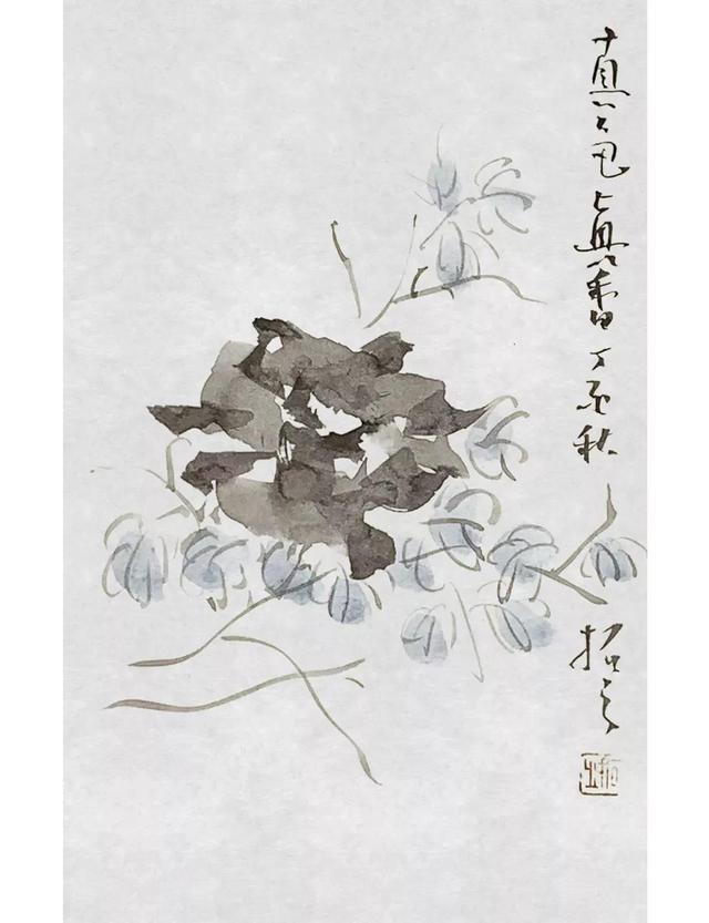 积五行属什么属性（五行药拓的专业知识）