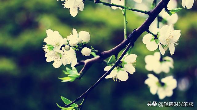 中国诗词35首经典名作，35座巅峰之美，哪首才是你心中的至爱呢？
