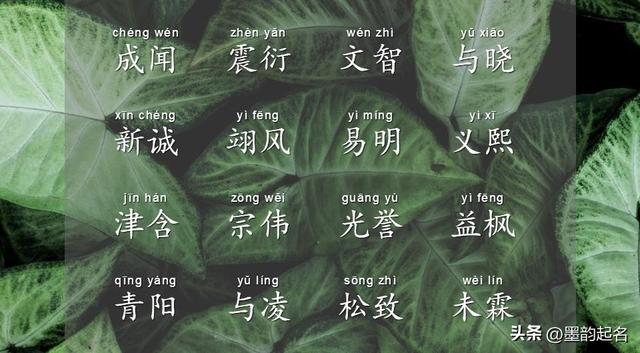 起名常用字库大全八画女孩，起名常用字库大全女孩