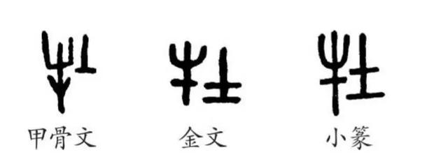 《道德经》唯物辩证法：第五十五章“含德之厚”的哲学本义