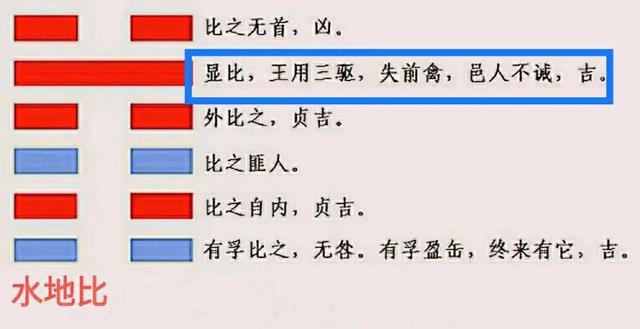 显字五行属什么？显字五行属什么属性！