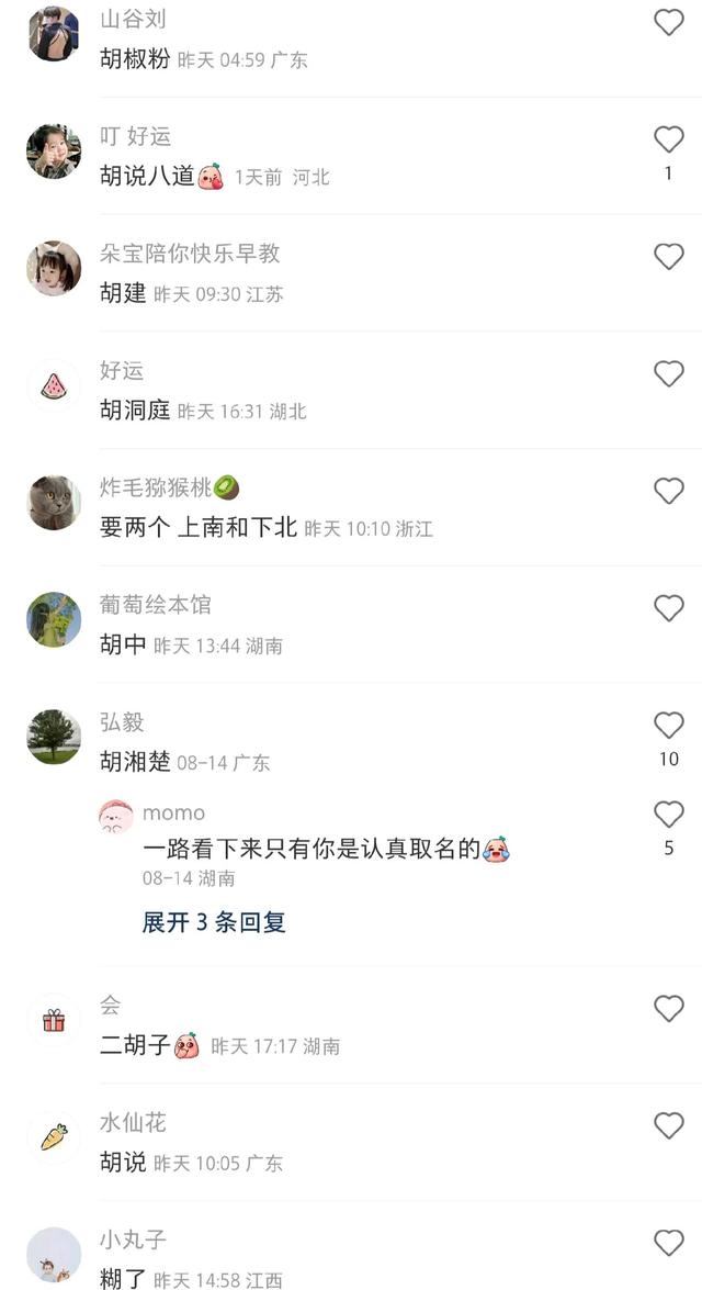 父母都姓胡，宝宝起什么名，这届网友都是懂起名的，要被笑死了