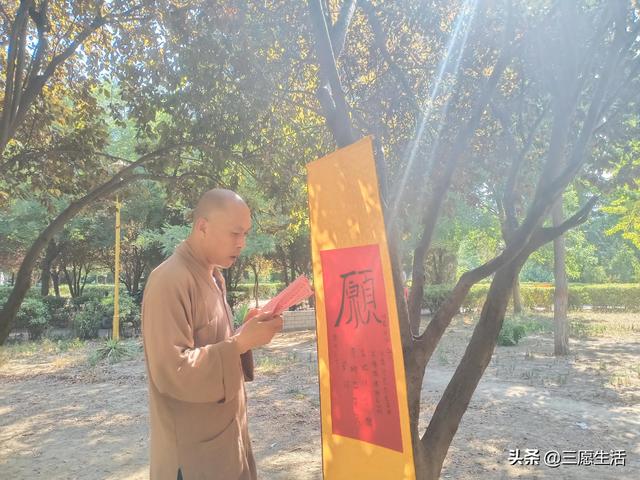 付姓起名谐音（付姓起名字）