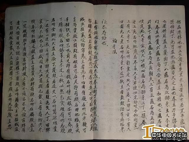 相字五行属什么生肖（相字五行属什么意思）