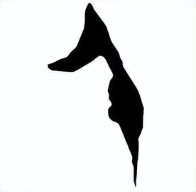 千字五行属什么（科字五行属什么）