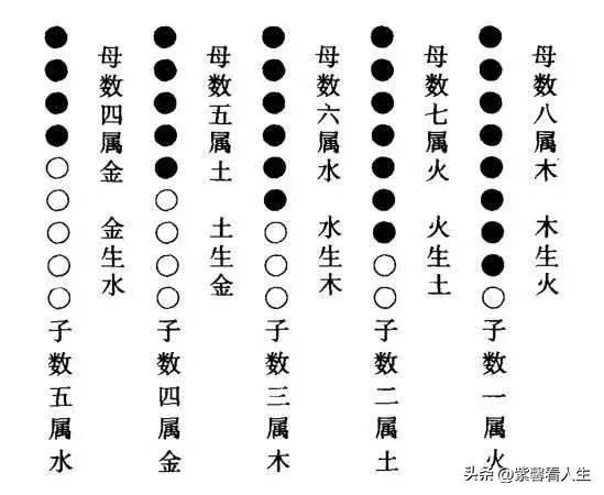 乙字五行属什么属性，乙字五行属什么属性的名字