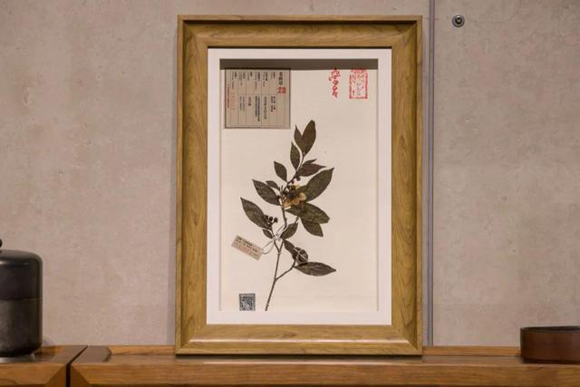 设计公司 起名（设计公司取名字大全）