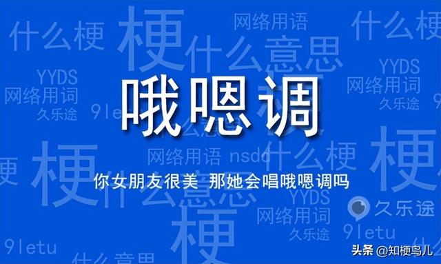 调的意思？协调的意思！