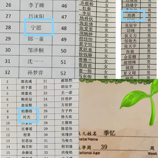 燕字取名的寓意？燕字取名的寓意是什么！