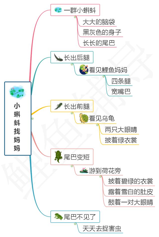姨组词组词语？姨字组成语！