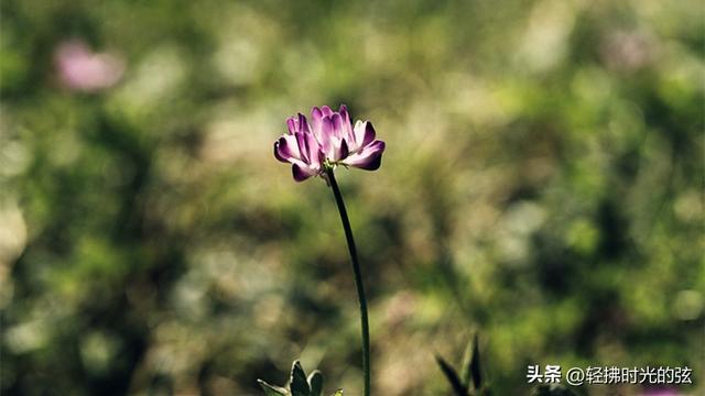 中国诗词35首经典名作，35座巅峰之美，哪首才是你心中的至爱呢？