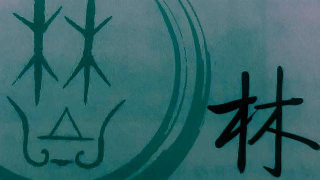林的意思是什么_（林的寓意是什么意思是什么）