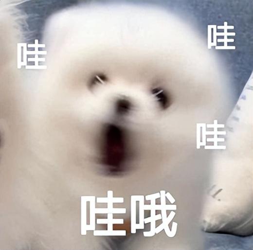燕字取名的寓意？燕字取名的寓意是什么！