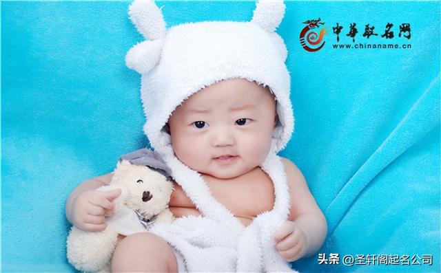 兔宝宝起名,兔宝宝起名男孩宜用字草字头？