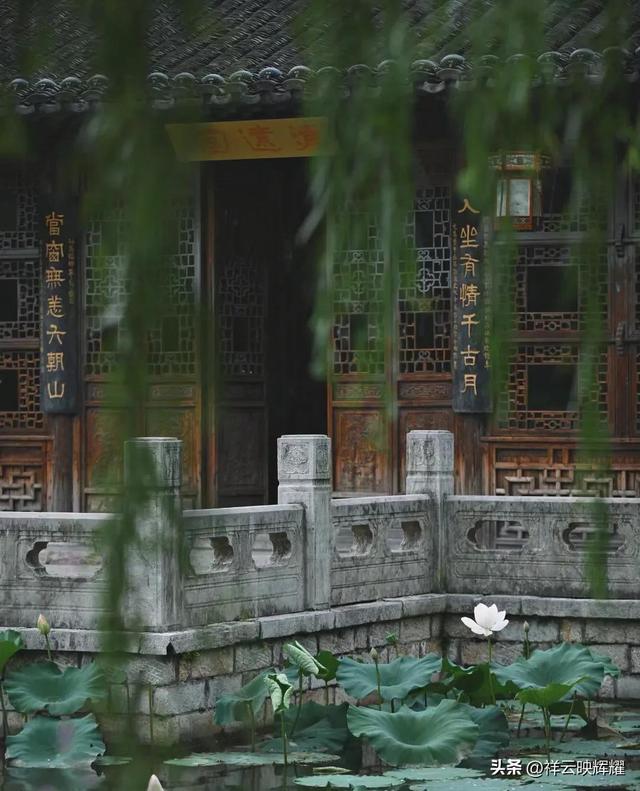 翠荫掩映，花香弥漫——夏日南京愚园的美景！