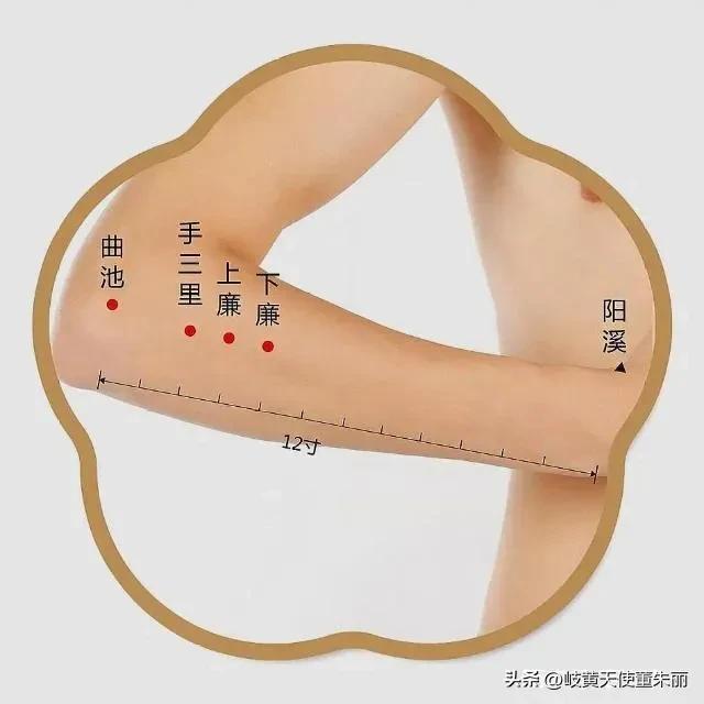 谧的意思？谧的意思解释！