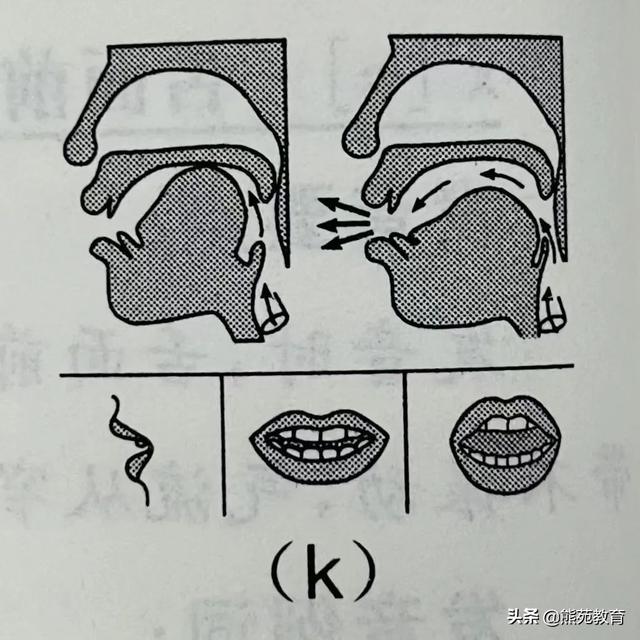 拼音j的正确书写格式图片（拼音j的正确书写格式视频）