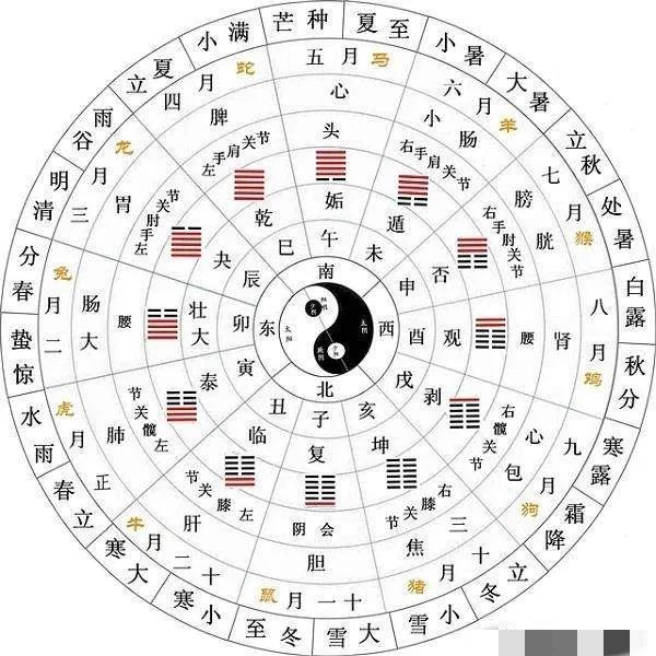 科字五行属什么和意义取名（科字的五行属什么意思）