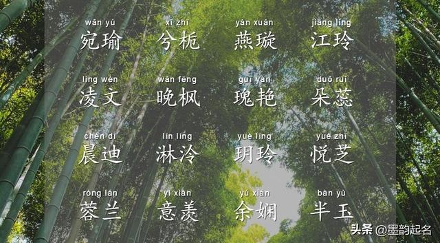 婴儿取名字,2023年女孩漂亮有涵养的名字？