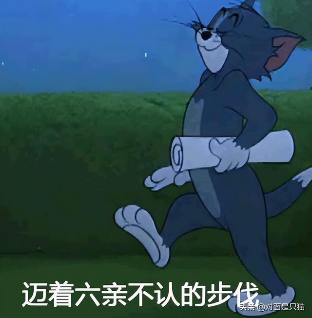 茂开头的成语接龙（茂开头的成语有哪些）