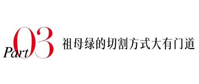 蒂芙尼竟然命名了一颗祖母绿！究竟什么样的才能称为极品？