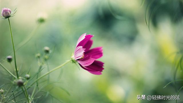 中国诗词35首经典名作，35座巅峰之美，哪首才是你心中的至爱呢？