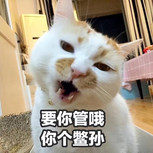 起名禁忌哪些字好听？起名禁忌哪些字好！