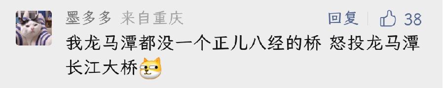 创意分加满！这届网友给泸州长江二桥取的名字太有才了