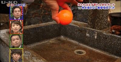 矛和盾的意思（自相矛盾的意思）