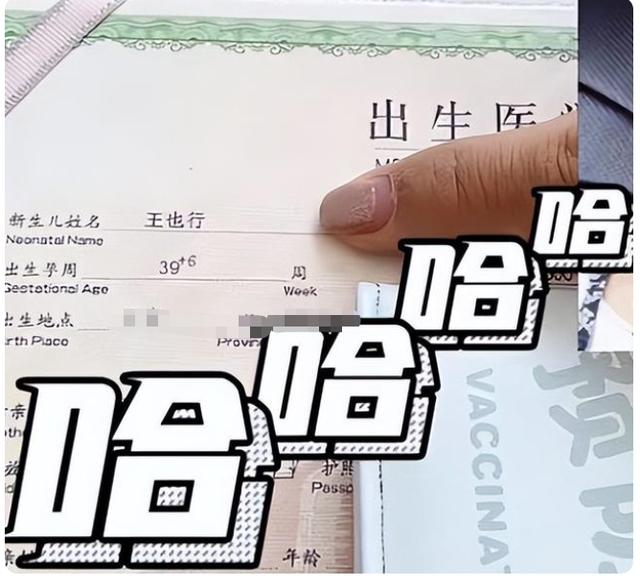 创意名字绘画？创意名字绘画设计！