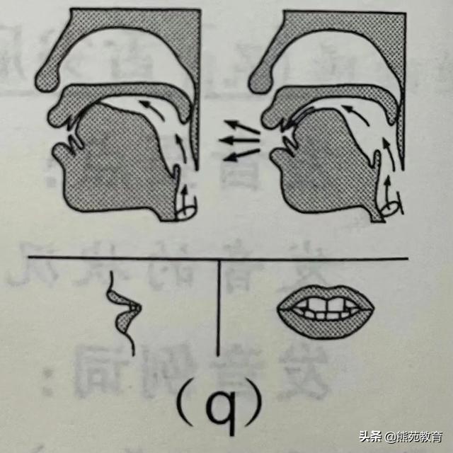 拼音j的正确书写格式图片（拼音j的正确书写格式视频）