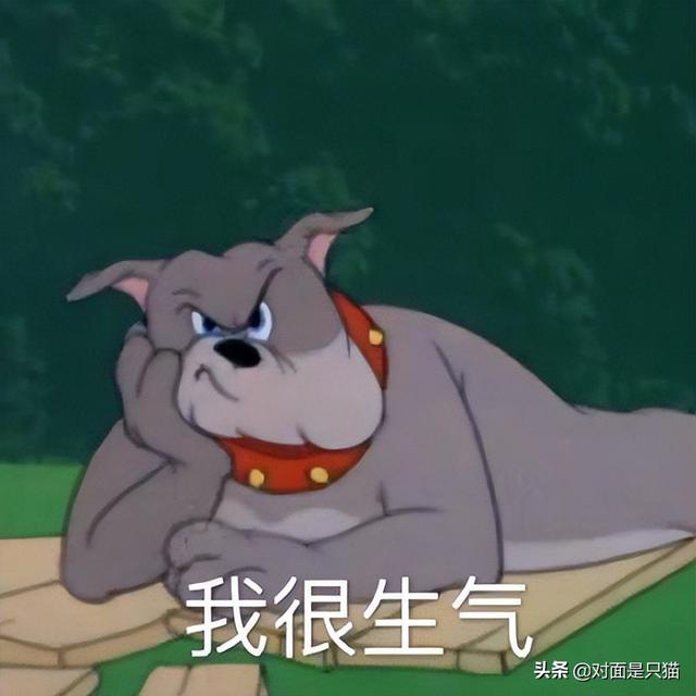茂开头的成语接龙（茂开头的成语有哪些）