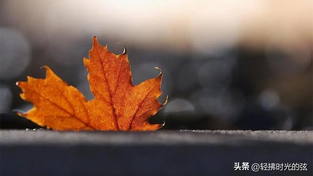 中国诗词35首经典名作，35座巅峰之美，哪首才是你心中的至爱呢？