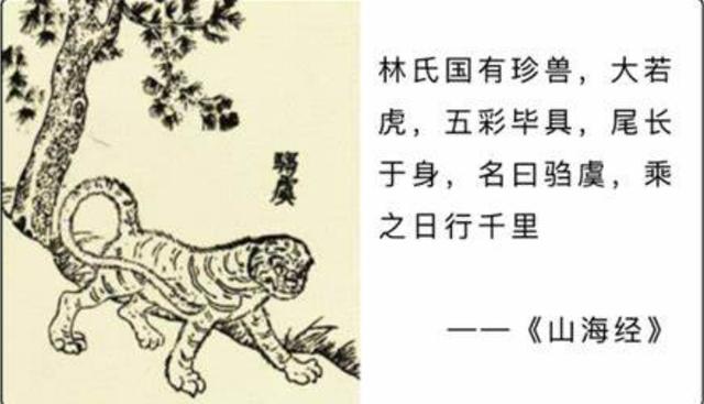 吴字五行属什么的意思？吴字五行属什么的意思是什枫！