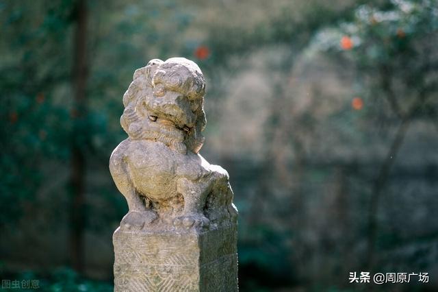 莳字取名寓意好吗（莳字取名寓意女孩）