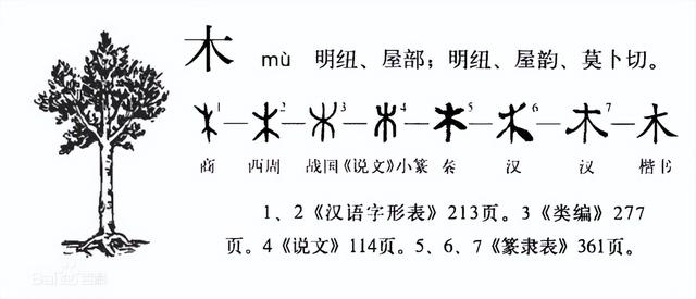 五行属木的字大全及解释（木字的五行属性是什么_）