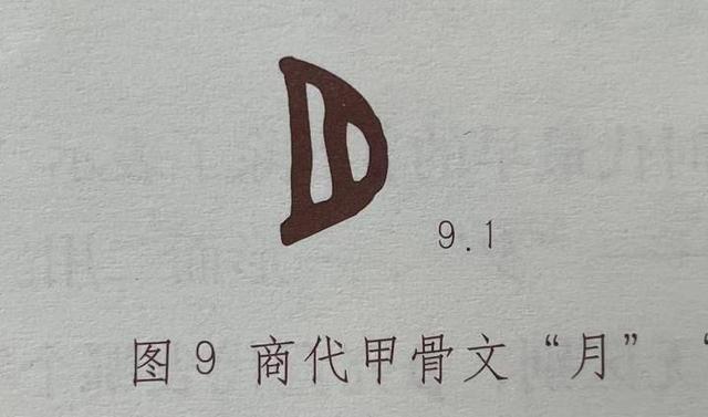 肉字？肉字旁的字！