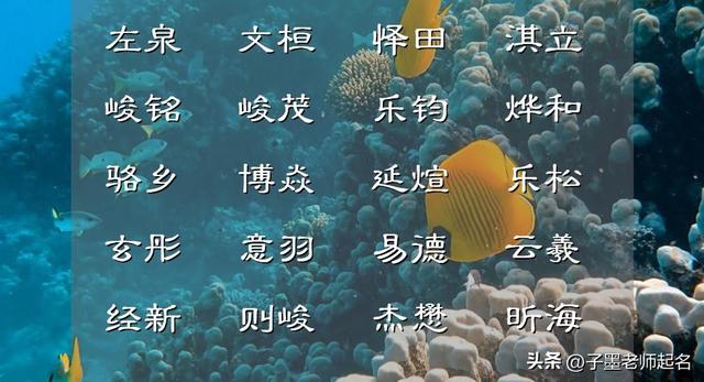 023年秋季清浅无恙、团团圆圆，和和美美的男孩名集锦"