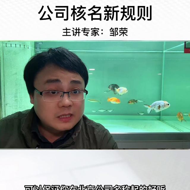 取名测名打分免费测试911，取名测名打分免费测试哪个软件好