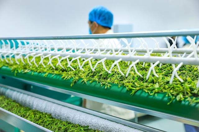 给茶叶公司取名字大全？个人茶叶公司起名大全集！