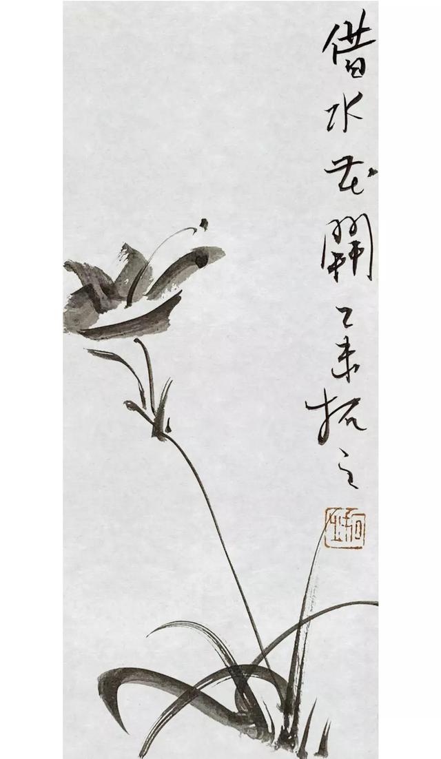 拓字的五行属性是什么（拓属于五行属什么）