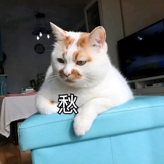 起名禁忌哪些字好听？起名禁忌哪些字好！