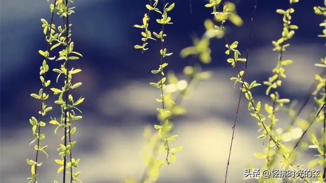 中国诗词35首经典名作，35座巅峰之美，哪首才是你心中的至爱呢？