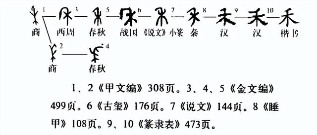 五行属木的字大全及解释（木字的五行属性是什么_）